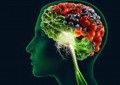 10 foods that helps your brain health